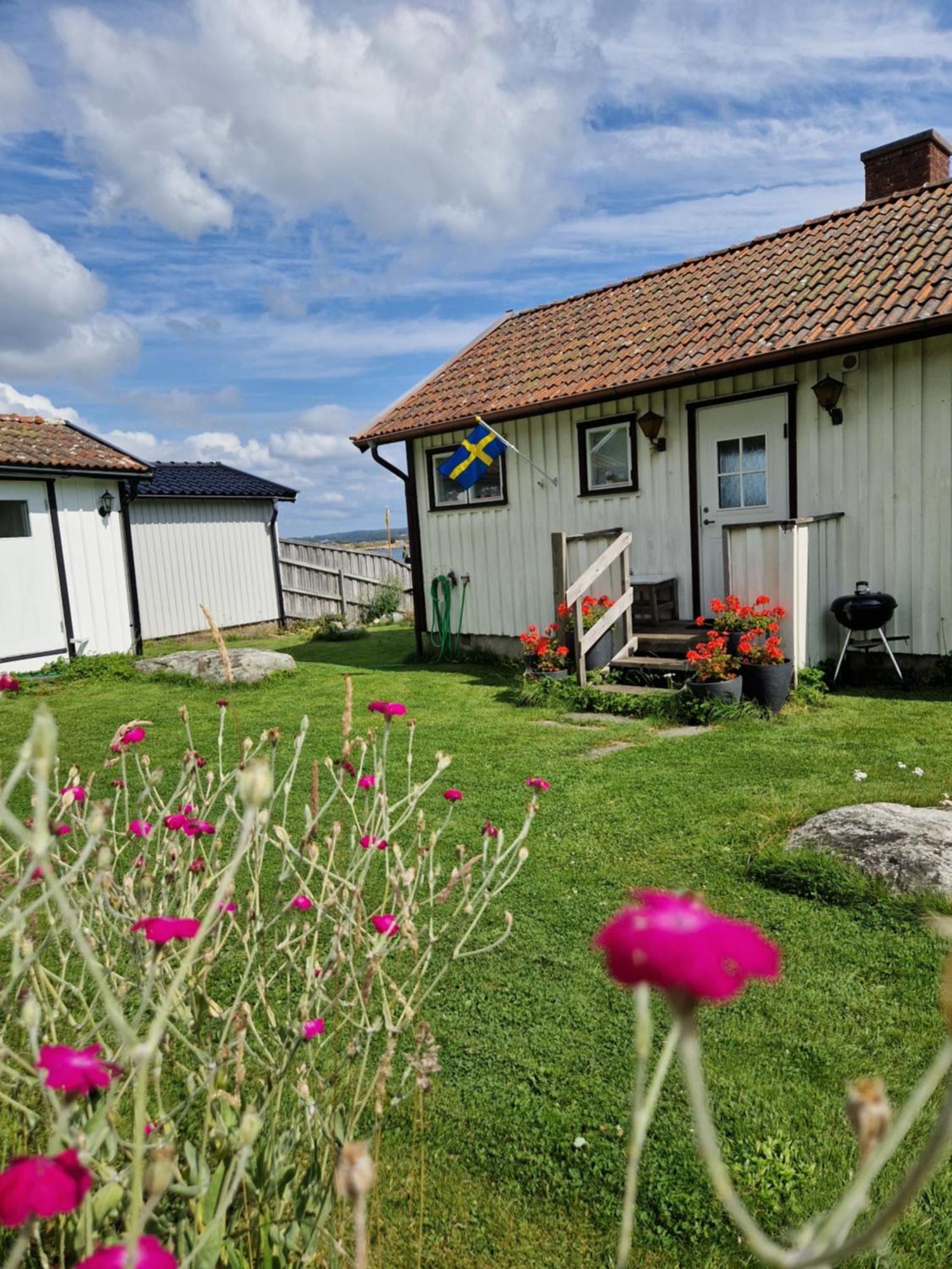 Cabin At The Sea Close To Public Beach With A Jumpingtower Hoviksnas 外观 照片
